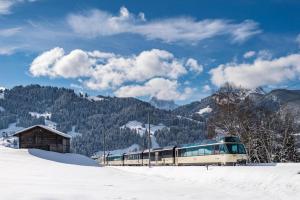 Schweiz - GoldenPass Tour Berge & Seen Winterromantik - Zugrundreise
