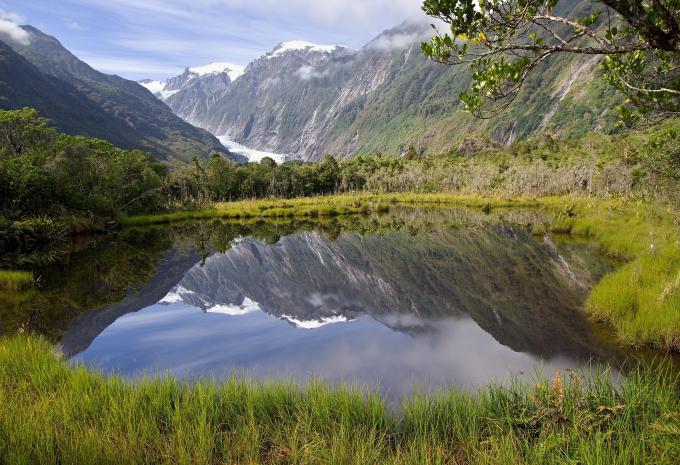 Franz Josef Glacier, Tai Poutini National Park