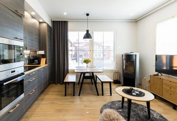 Apartment in Levi
