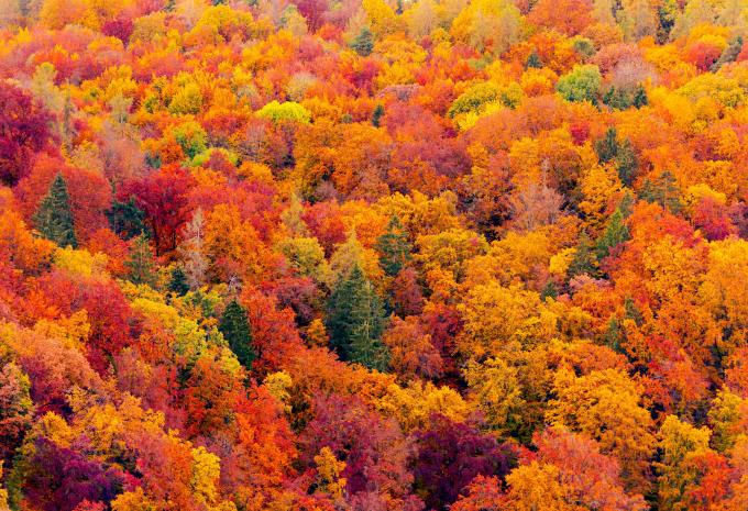 Indian Summer, Kanada