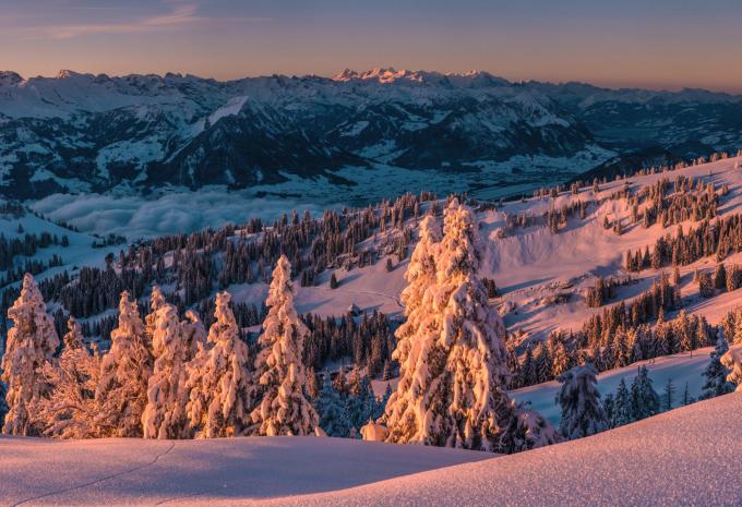 Rigi Panorama
