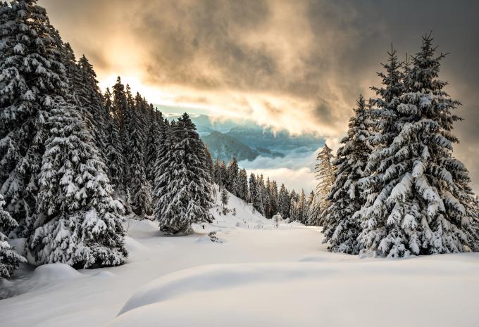 Blick vom Rigi