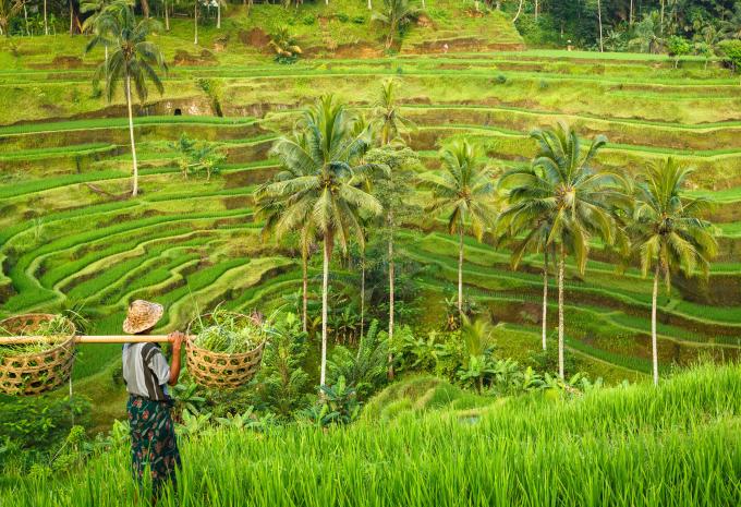 Indonesien