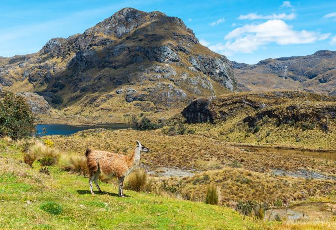Cajas Nationalpark