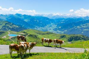 Kirchdorf in Tirol