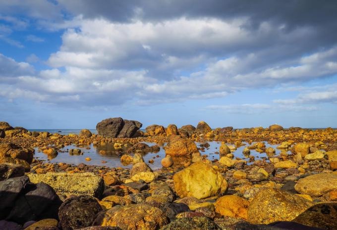 Tasmanien