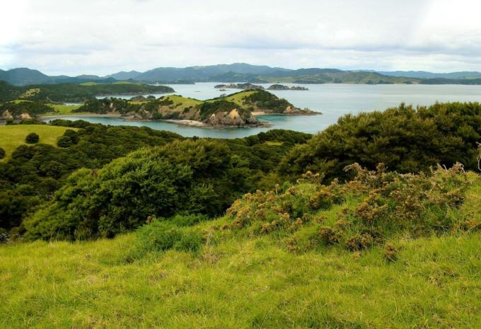 Bay of Islands