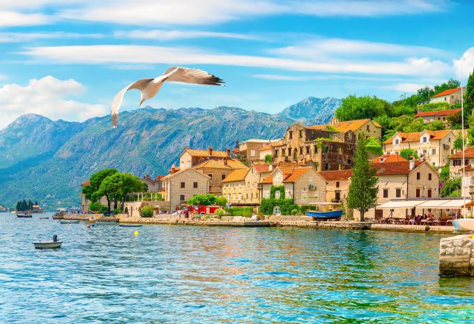 Kotor