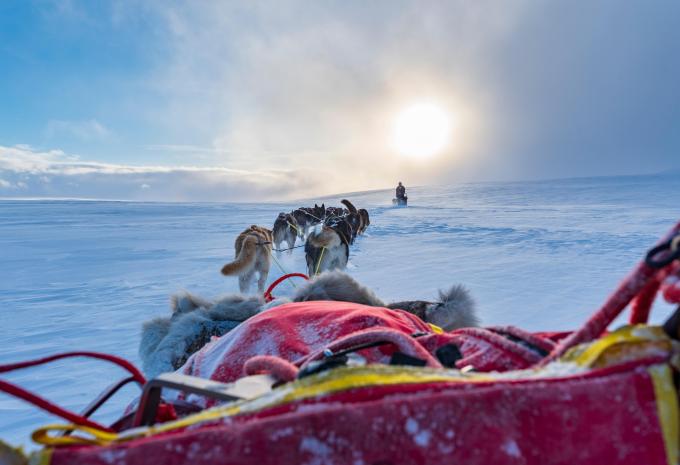 Huskysafari