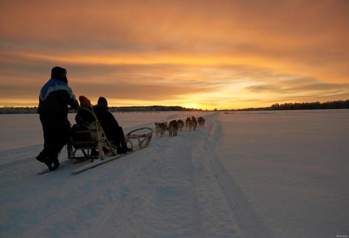 Huskysafari