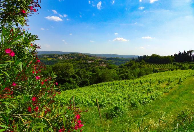 Der Etsch-Radweg - Durch Südtirol nach Verona - Radtour