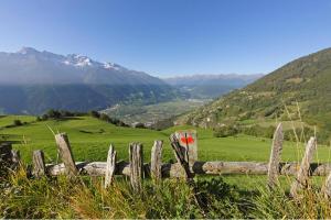 Der Etsch-Radweg - Durch Südtirol nach Verona - Radtour