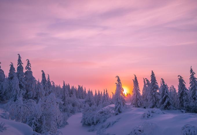 Winterlandschaft in Lappland