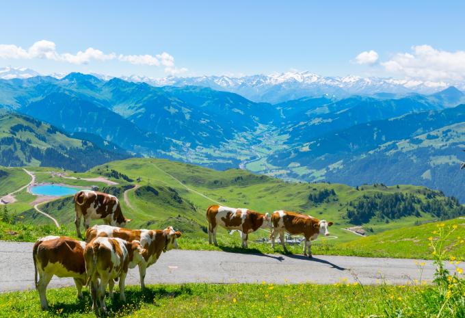 Kitzbüheler Alpen