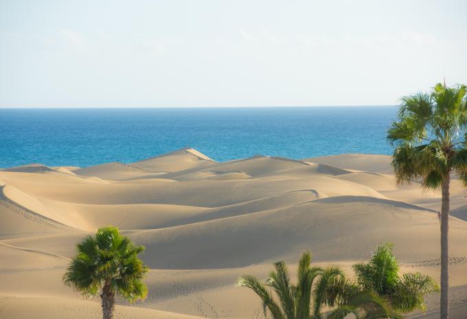 Cran Canaria