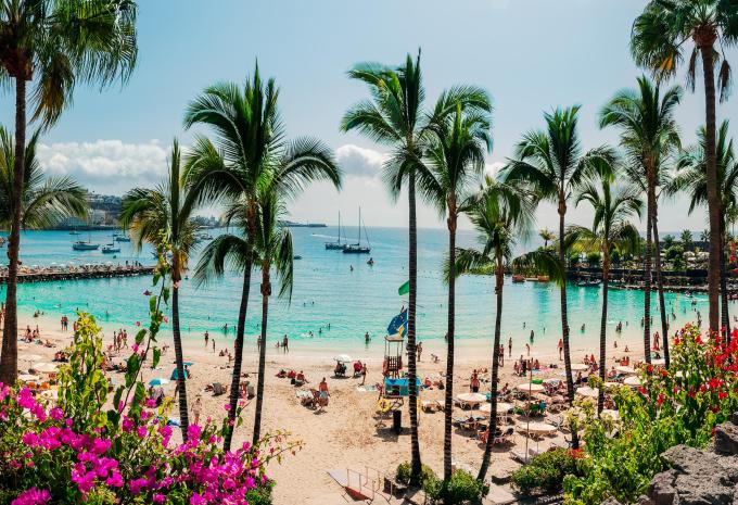 Cran Canaria