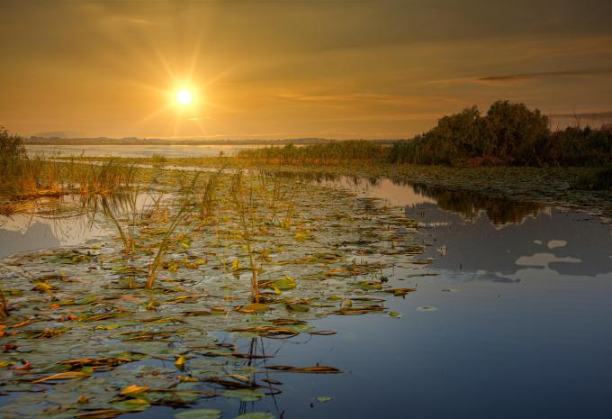 Donaudelta