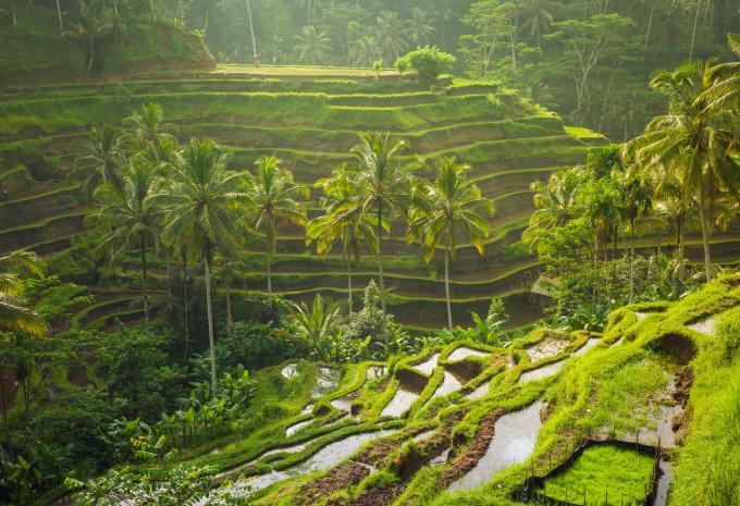 Rundreise Bali & Baden