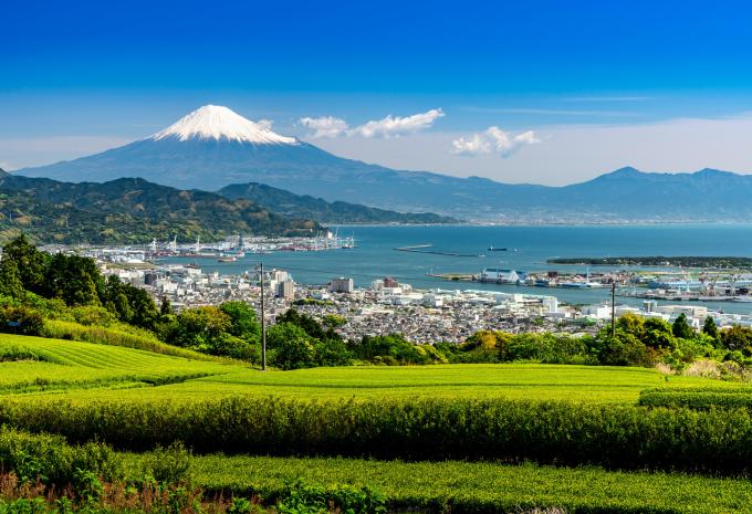 Shimizu