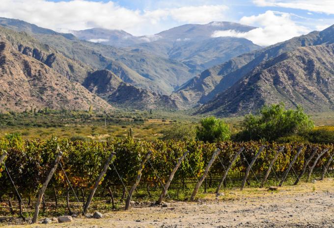 El Cafayate