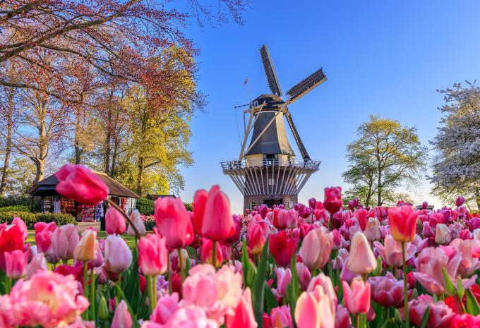 Keukenhof in Lisse