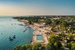 Novigrad