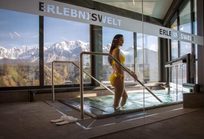 Wellness